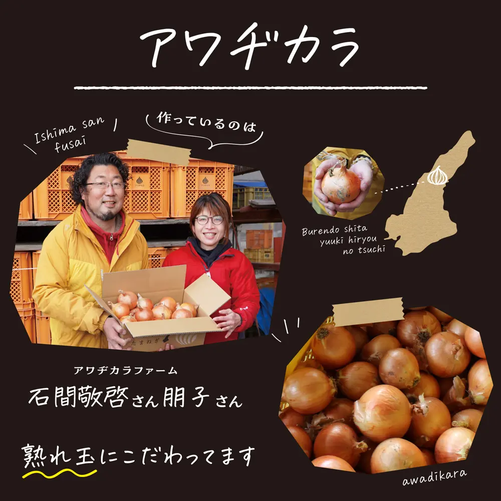 淡路 たまねぎ 生産農家 アワヂカラファーム 玉ねぎ