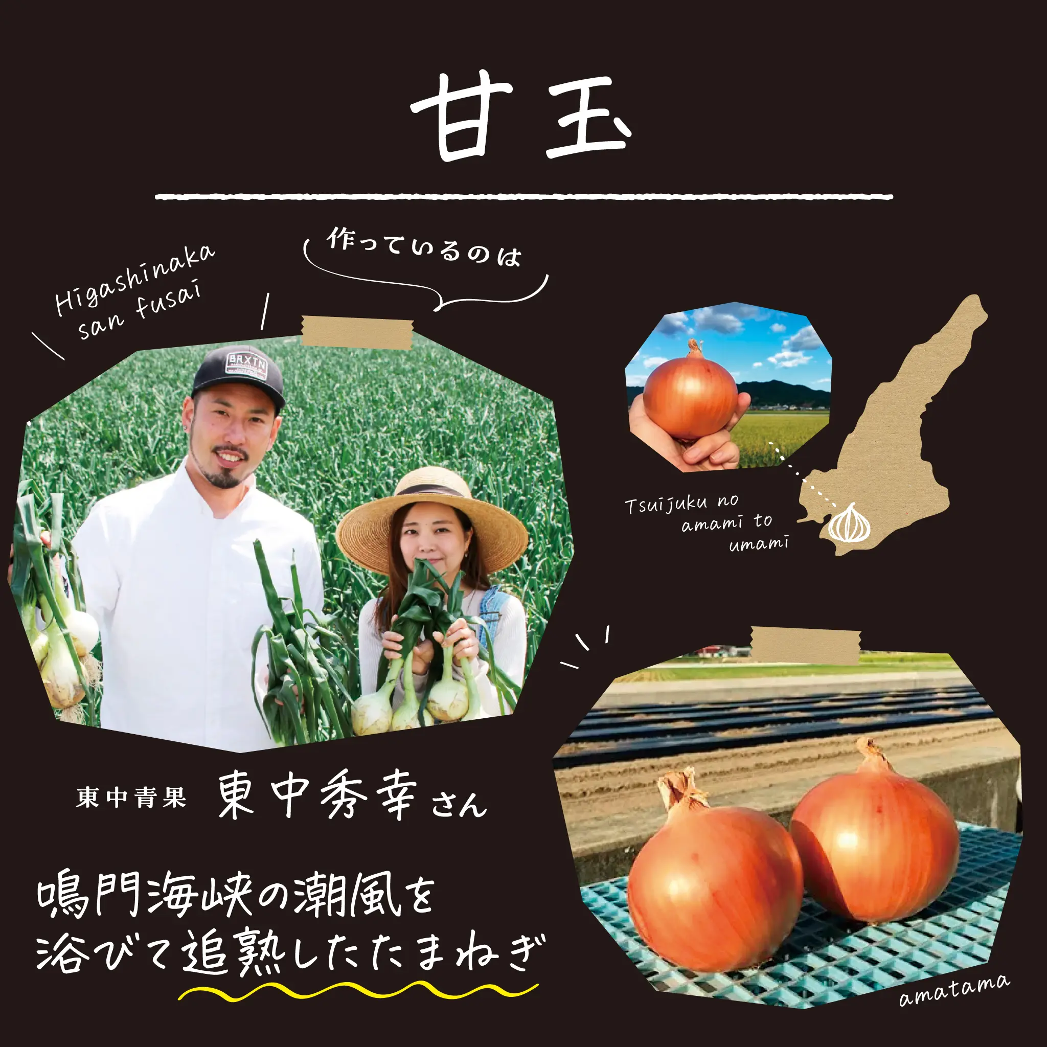 淡路 たまねぎ 生産農家 東中青果 甘玉