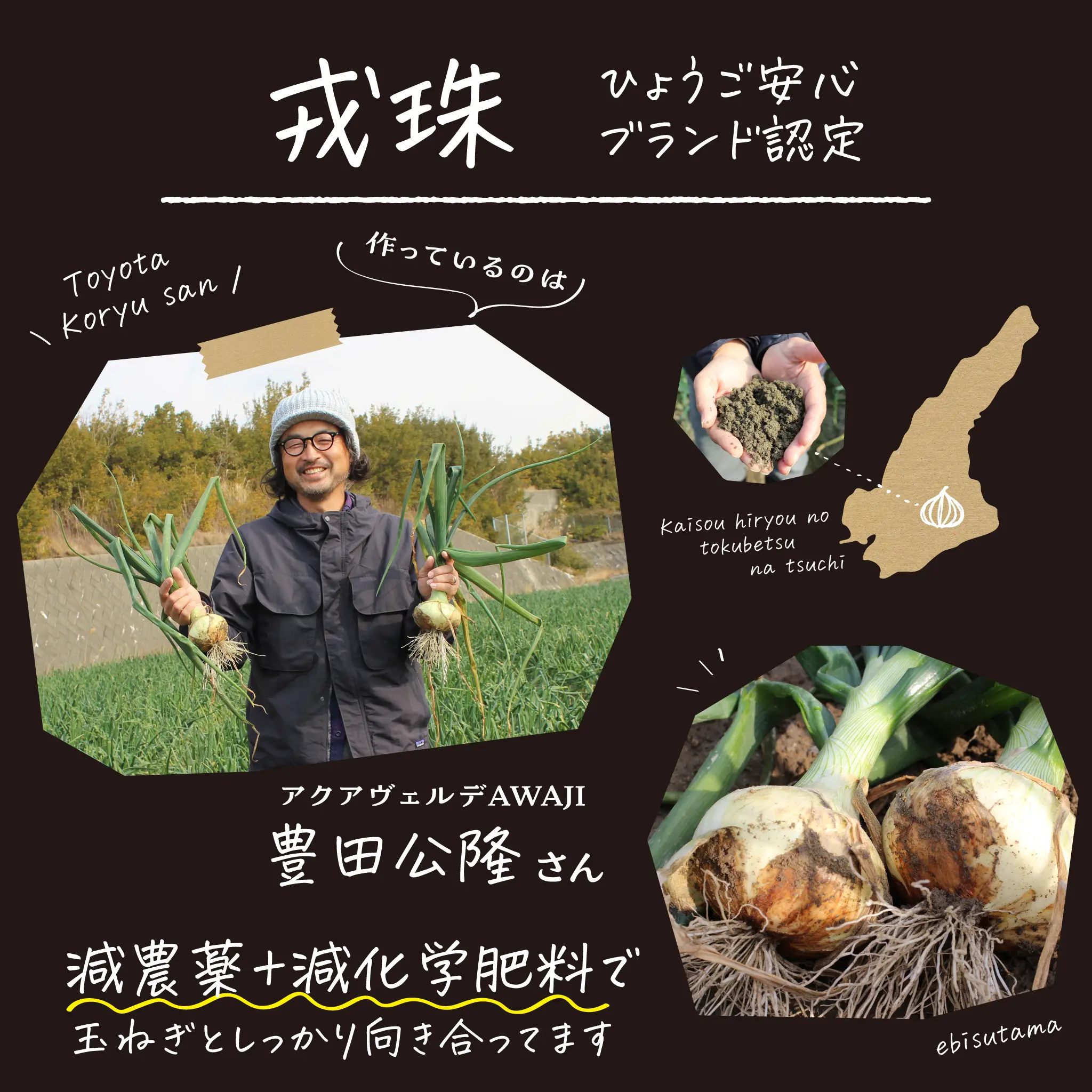 淡路 たまねぎ 生産農家 アクアヴェルデAWAJI 戎珠