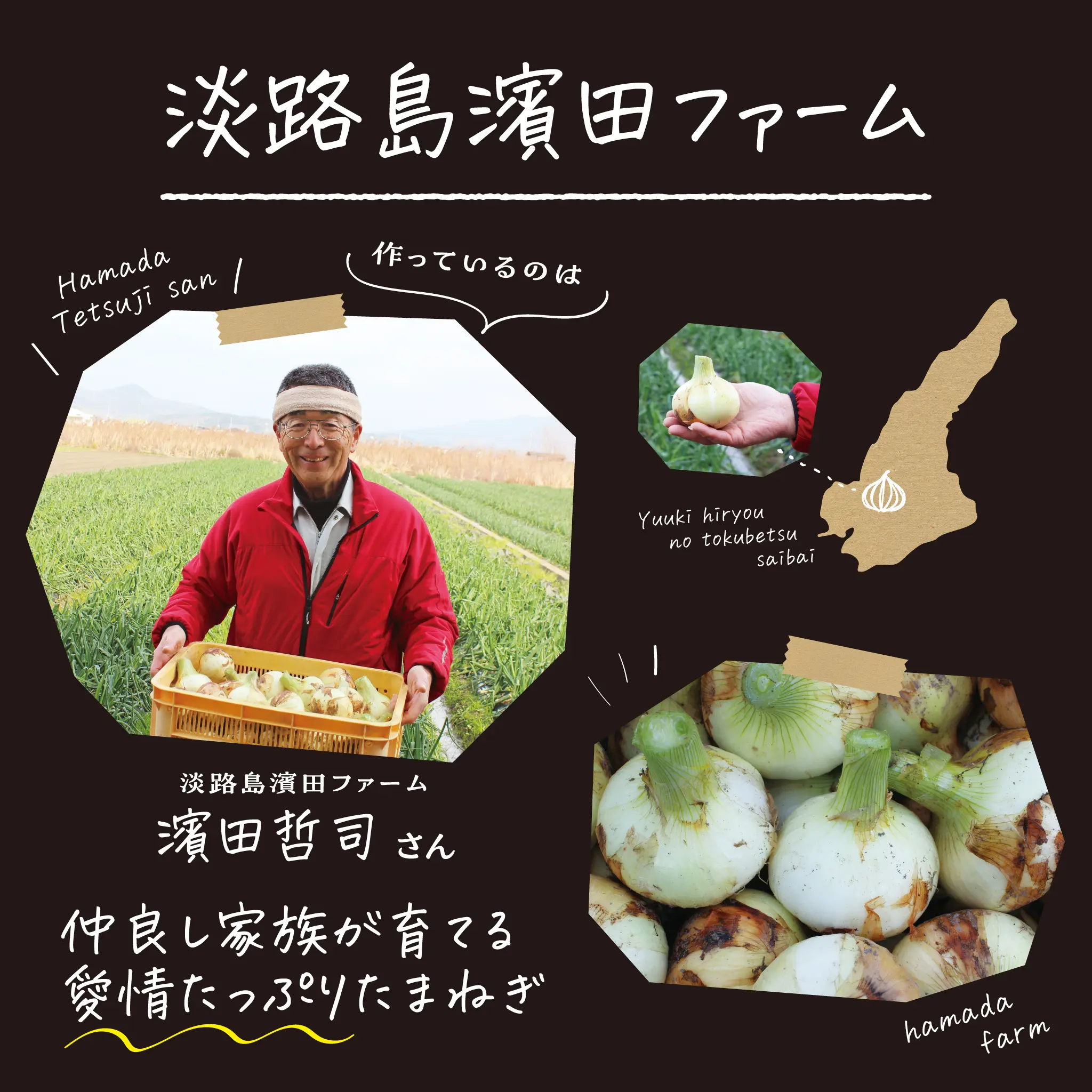 淡路 たまねぎ 生産農家 淡路島濱田ファーム 玉ねぎ