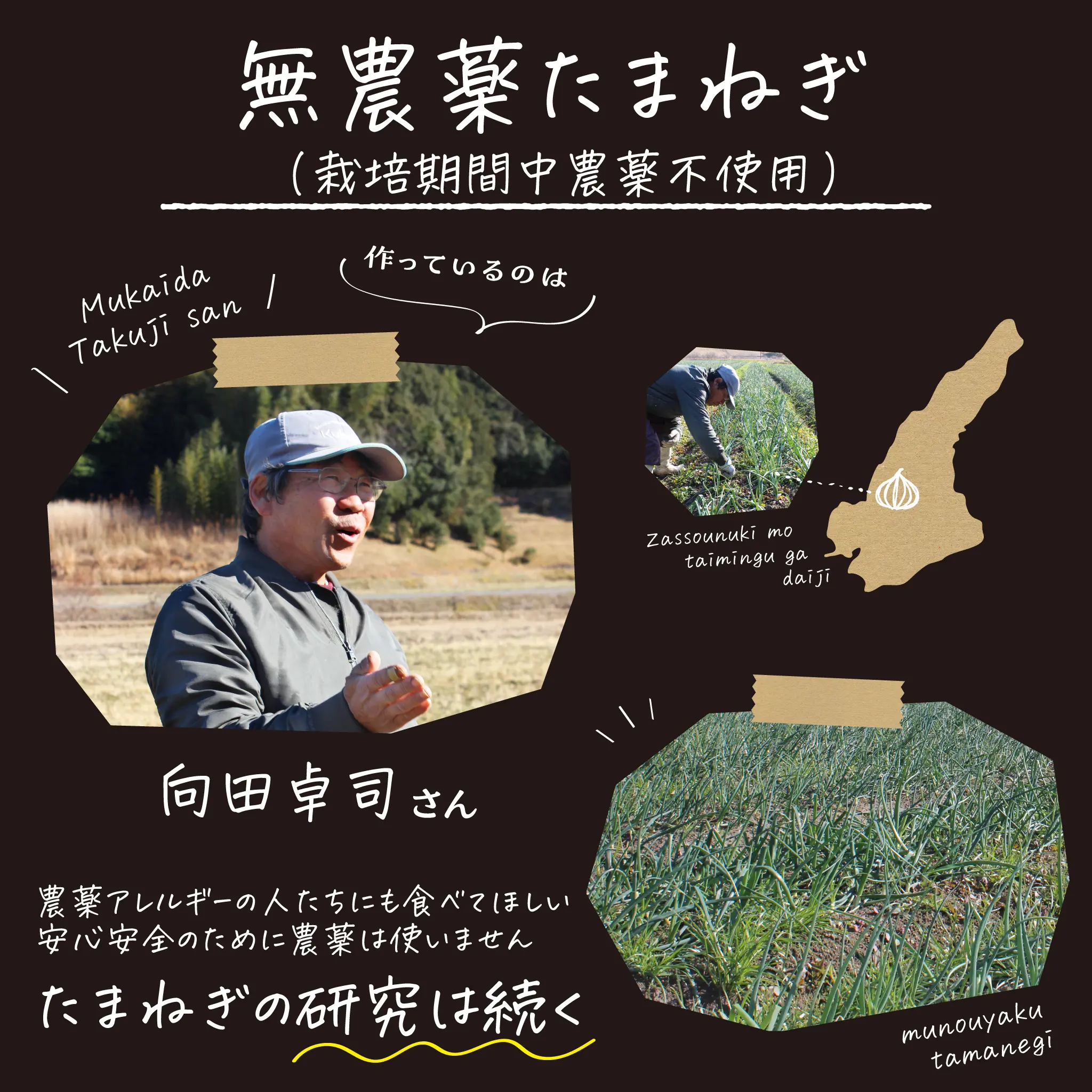 淡路 たまねぎ 生産農家 光性農園 玉ねぎ