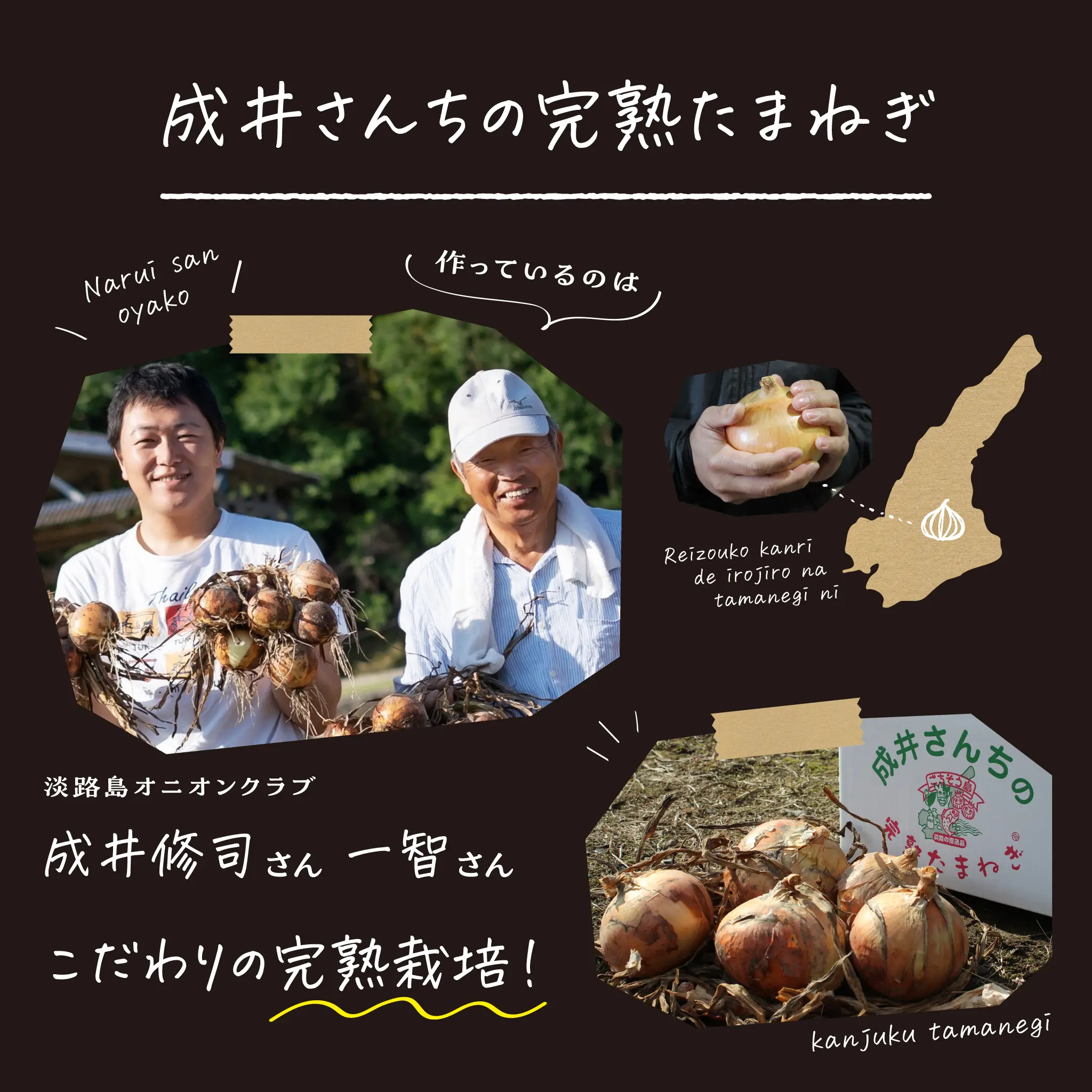 淡路 たまねぎ 生産農家 成井さんちの完熟たまねぎ 農家の様子